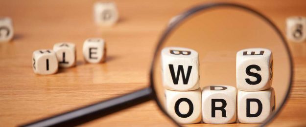 The importance of professional translation services